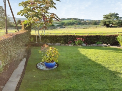 Picture 42